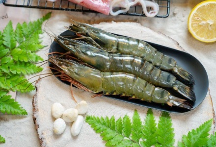 Việt Nam tăng tốc, củng cố vị thế trong nhóm cung cấp tôm hàng đầu cho thị trường Trung Quốc