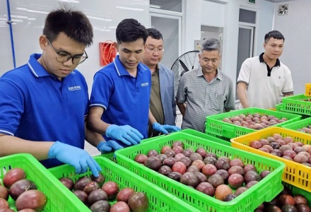 Ngành hàng chanh leo Việt Nam hướng đến phát triển bền vững theo chuỗi liên kết