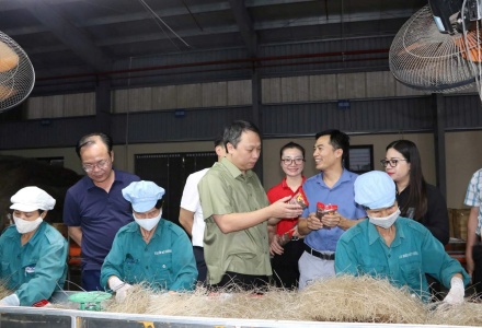 Hợp tác xã Miến Việt Cường: Mô hình HTX điển hình thúc đẩy kinh tế từ sản phẩm truyền thống ở Thái Nguyên