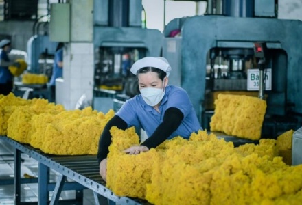Ngành cao su Việt dự kiến đạt 11,6 tỷ USD trong năm 2025