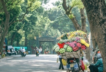 Dự báo thời tiết ngày 19/12: Bắc Bộ rét về đêm và sáng sớm, trưa chiều nắng ấm