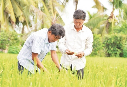 Nghị quyết 57-NQ/TW: Chuyển đổi số tạo đòn bẩy nâng cao giá trị sản phẩm nông nghiệp