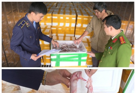 Thu giữ hơn 10 tấn cá khoai chứa chất Formol nguy hại đến sức khỏe người tiêu dùng