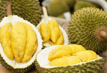 Sầu riêng, cà phê bứt phá đưa kim ngạch xuất khẩu toàn ngành tiến sát kỷ lục 