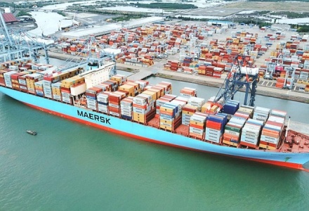 Giải cứu thành công gần 500 container chè Việt Nam bị kẹt tại cảng Karachi, Pakistan