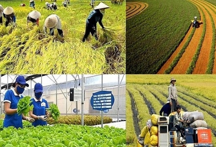 Loạt chính sách mới chính thức áp dụng từ tháng 1/2026