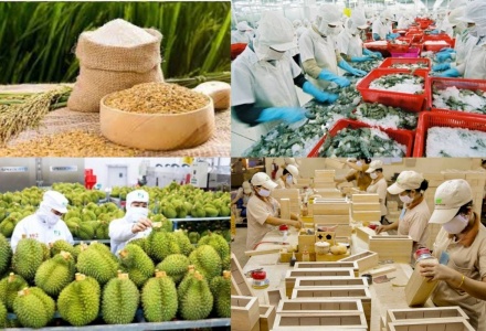 Năm 2026, cả nước phấn đấu xuất siêu trên 23 tỷ USD