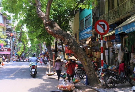 Dự báo thời tiết ngày 14/1: Bắc Bộ nắng hanh, rét về đêm và sáng sớm