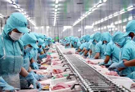 Xuất khẩu thủy sản Việt Nam bước vào giai đoạn mới