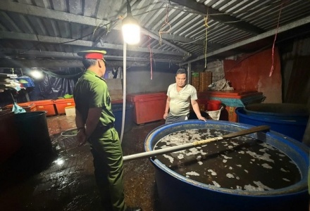 TP.HCM: Triệt phá đường dây ngâm 3.000 tấn ốc bươu bằng hóa chất