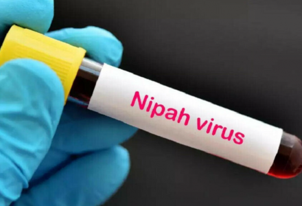 Bộ Y tế yêu cầu cách ly nghiêm ngặt các trường hợp nghi ngờ mắc virus Nipah