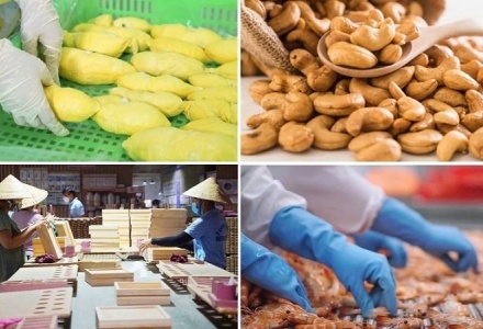 Ngành Nông nghiệp và Môi trường đặt mục tiêu xuất khẩu 74 tỷ USD trong năm 2026