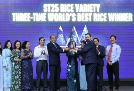Gạo ST25 lần thứ 3 được vinh danh 'Gạo ngon nhất thế giới'