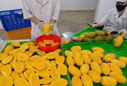 Nông sản Việt trước “làn sóng” kiểm soát mới từ Ba Lan và EU