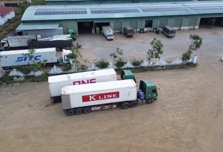 Hải quan triển khai trực 24/7: Ưu tiên thông quan thực phẩm nhập khẩu dịp cao điểm cuối năm