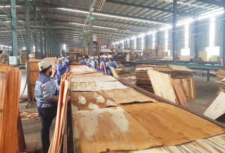 Hoa Kỳ công bố kết luận sơ bộ thuế chống trợ cấp với gỗ dán Việt Nam