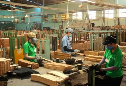 Ngành gỗ Việt Nam và bài toán thích ứng trước lộ trình EUDR