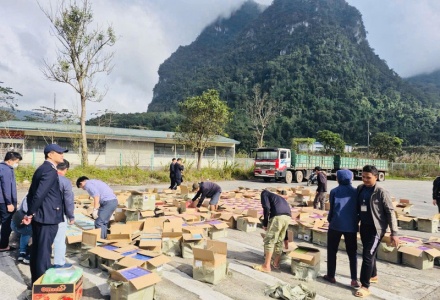 Phát hiện đường dây buôn lậu thuốc lá điện tử kỷ lục, đặc biệt nghiêm trọng