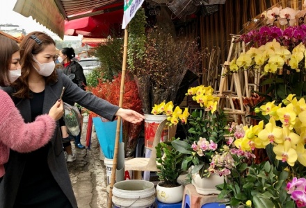 Dự báo thời tiết ngày 14/2: Bắc Bộ sáng sớm có sương mù nhẹ rải rác, mưa nhỏ vài nơi