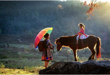 Ngựa trong mùa xuân Tây Bắc – Khúc tự tình giữa mây ngàn