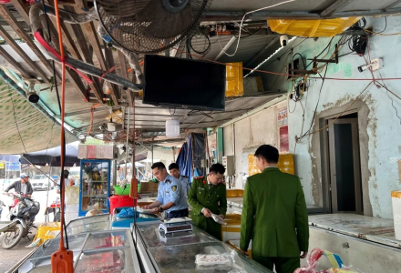 Thanh Hóa: Phát hiện, bắt giữ 4 tấn thực phẩm không rõ nguồn gốc xuất xứ, bốc mùi hôi thối