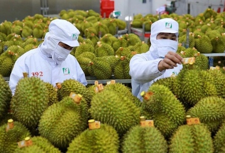 Nông lâm thủy sản tăng tốc ngay đầu năm, củng cố mục tiêu 75 tỷ USD