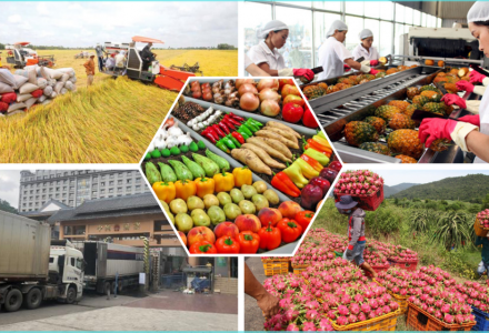 Xuất khẩu nông lâm thủy sản bứt phá trong 2 tháng đầu năm 2026