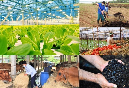 Ngành nông nghiệp chủ động chuyển đổi xanh để 'vượt sóng' biến động toàn cầu