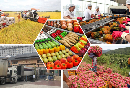 Nông sản Việt và bài toán xây dựng thương hiệu giá trị cao trên toàn cầu