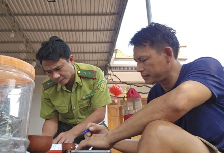 Thanh Hóa: Thu giữ 23 cây muội hồng không rõ nguồn gốc tại nhà dân