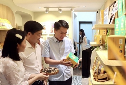 Khai mạc “Sức sống hàng Việt” số 5: Đưa đặc sản Hà Tĩnh vươn tầm qua nền tảng số