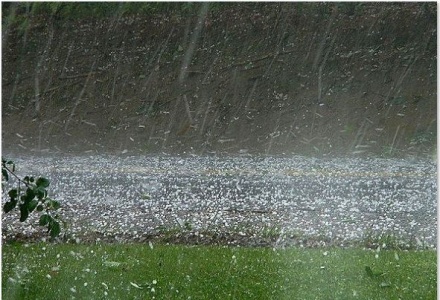 Thời tiết ngày 25/4: Nhiều nơi có mưa