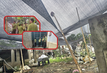 Thanh Hóa: Thu giữ 122 cây muội hồng không rõ nguồn gốc tại nhà dân