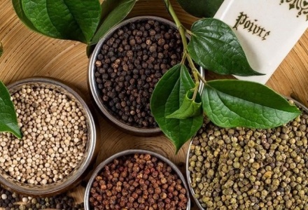 Thị trường nội địa ổn định, xuất khẩu tiêu sang Mỹ tăng vọt gần 61%