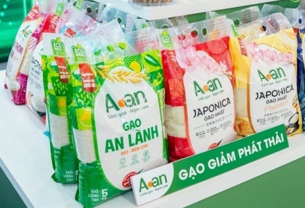 Xây dựng nhãn hiệu “Gạo Việt Xanh phát thải thấp”, nâng tầm hạt gạo Việt