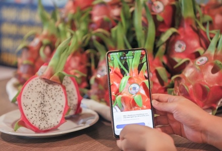 Truy xuất nguồn gốc nông sản: “Hạ tầng mềm” để bứt phá xuất khẩu bền vững