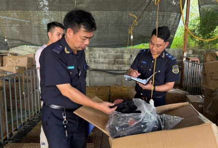 Hải quan phát hiện hơn 1.900 vụ buôn lậu, hàng giả trong một tháng