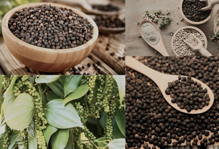 Xuất khẩu tăng tốc, doanh nghiệp hồ tiêu chủ động 'lá chắn' phòng ngừa rủi ro