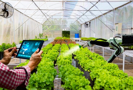 Phấn đấu đến năm 2030, cả nước có 500 tổ hợp tác ứng dụng công nghệ cao vào sản xuất