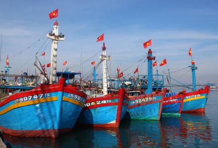 Phạt tối đa 2 tỷ đồng với hành vi vi phạm hành chính lĩnh vực thủy sản
