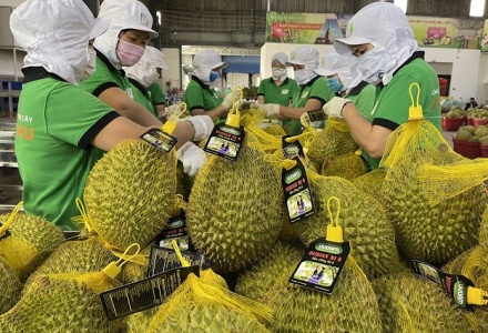 Chậm nhất 15/7, trình Chính phủ Nghị quyết tháo gỡ 'điểm nghẽn' xuất khẩu nông sản
