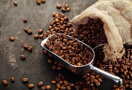 Minh bạch dữ liệu là “chìa khóa” để cà phê Việt vượt rào cản EUDR