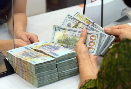 Vi phạm đăng ký doanh nghiệp có thể bị phạt đến 100 triệu đồng