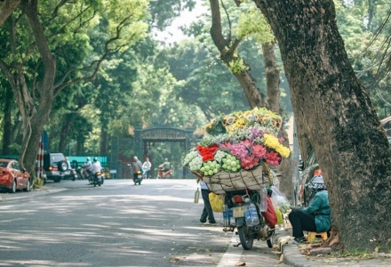 Dự báo thời tiết ngày 31/7: Bắc Bộ hửng nắng, có mưa dông về chiều tối