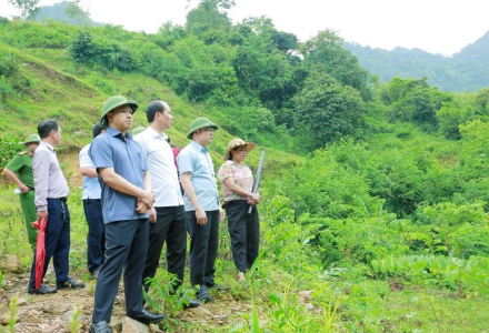 Thanh Hóa: Nước suối Xủ chuyển màu bất thường, địa phương đề nghị xác định nguyên nhân 