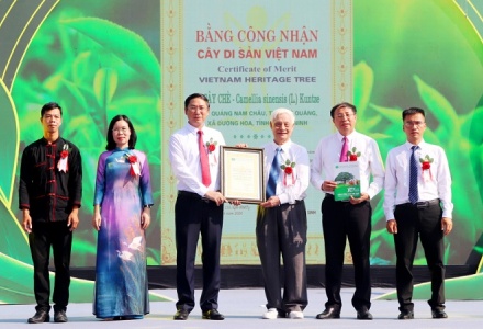 Quảng Ninh: Khai mạc lễ hội “Trà Đường Hoa” và đón Bằng công nhận Cây chè Di sản Việt Nam