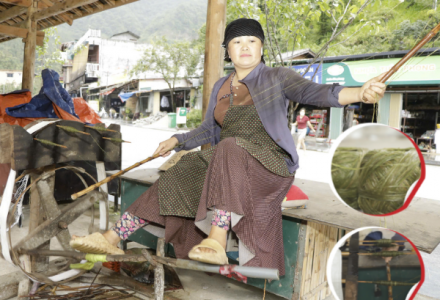 Từ cây lanh đến tấm vải, hành trình lưu giữ bản sắc người H’Mông