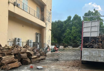 Vụ vận chuyển hơn 18m³ gỗ từ Thanh Hóa ra Hưng Yên: Xác định thuộc nhóm IA