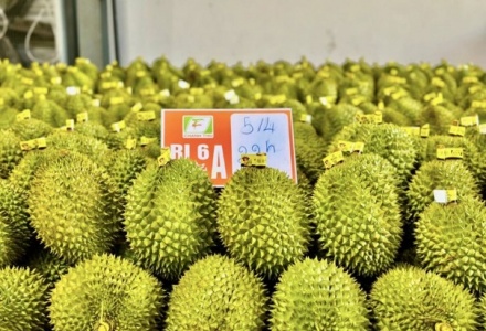 Đơn giản hóa thủ tục cấp mã số vùng trồng và cơ sở đóng gói