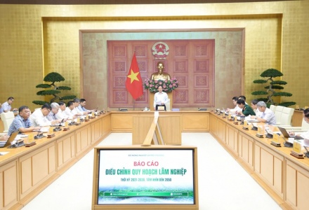 Quy hoạch lâm nghiệp phải giải quyết thực chất sinh kế, để đời sống người giữ rừng tốt hơn